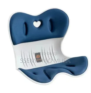 Ergonomic Chair Back Support Lumbar Cushion for Posture Correction