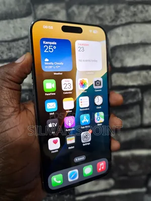 Apple iPhone 15 Pro 256 GB Gray