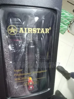 Professional Microphone