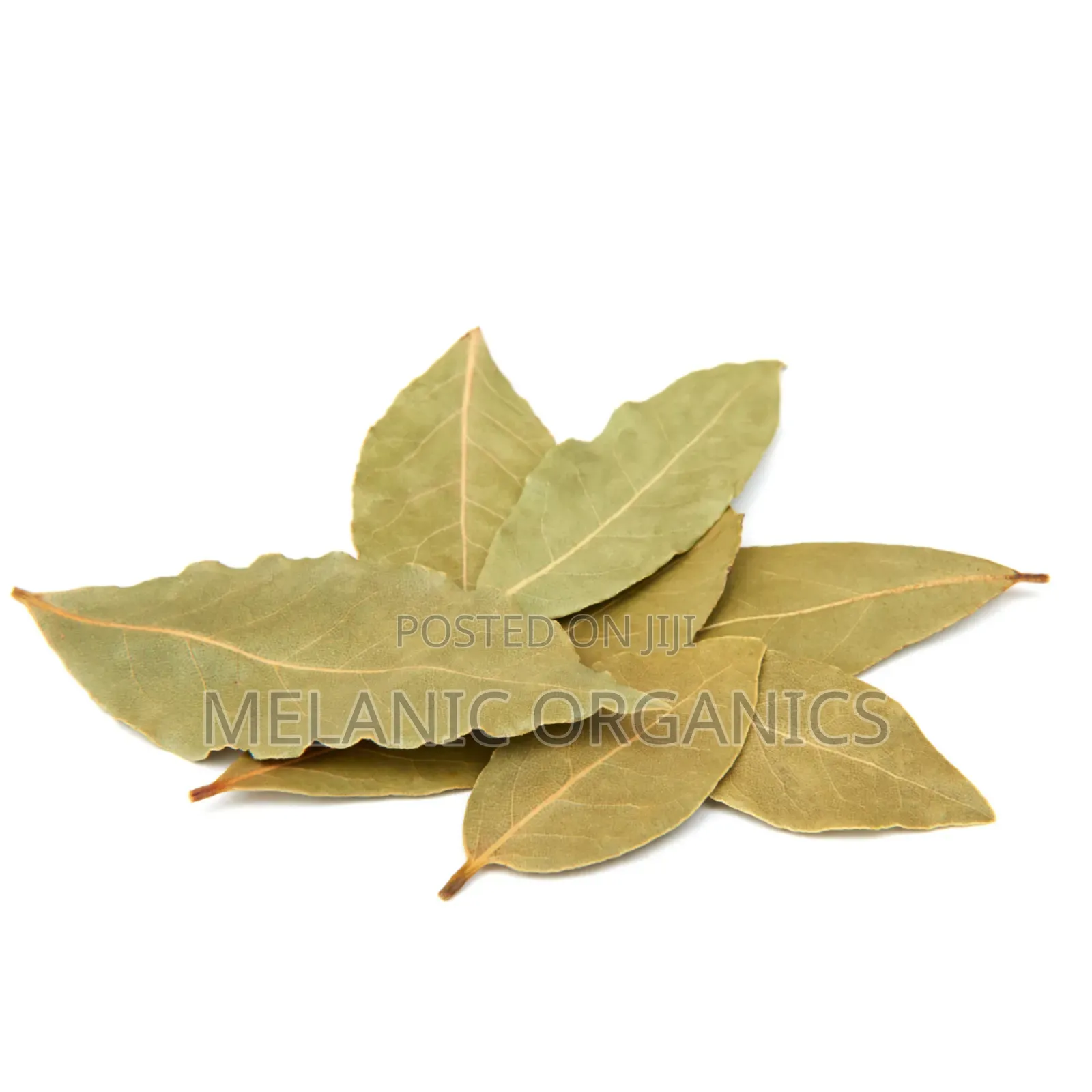 Bay Leaf 500gm