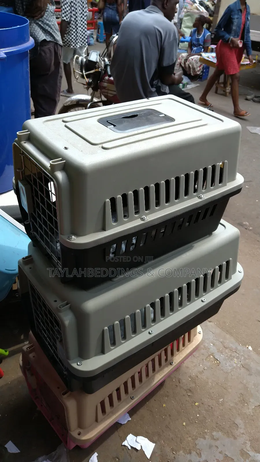 Airline Approved Travel Carrier Pet Carriers for Extra-Small Dogs,Cats