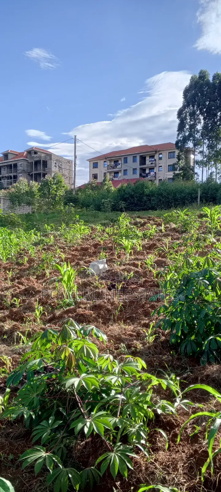 75x100ft Plot at Seeta-Town Estate.
