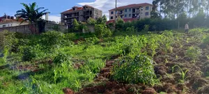 75x100ft Plot at Seeta-Town Estate.