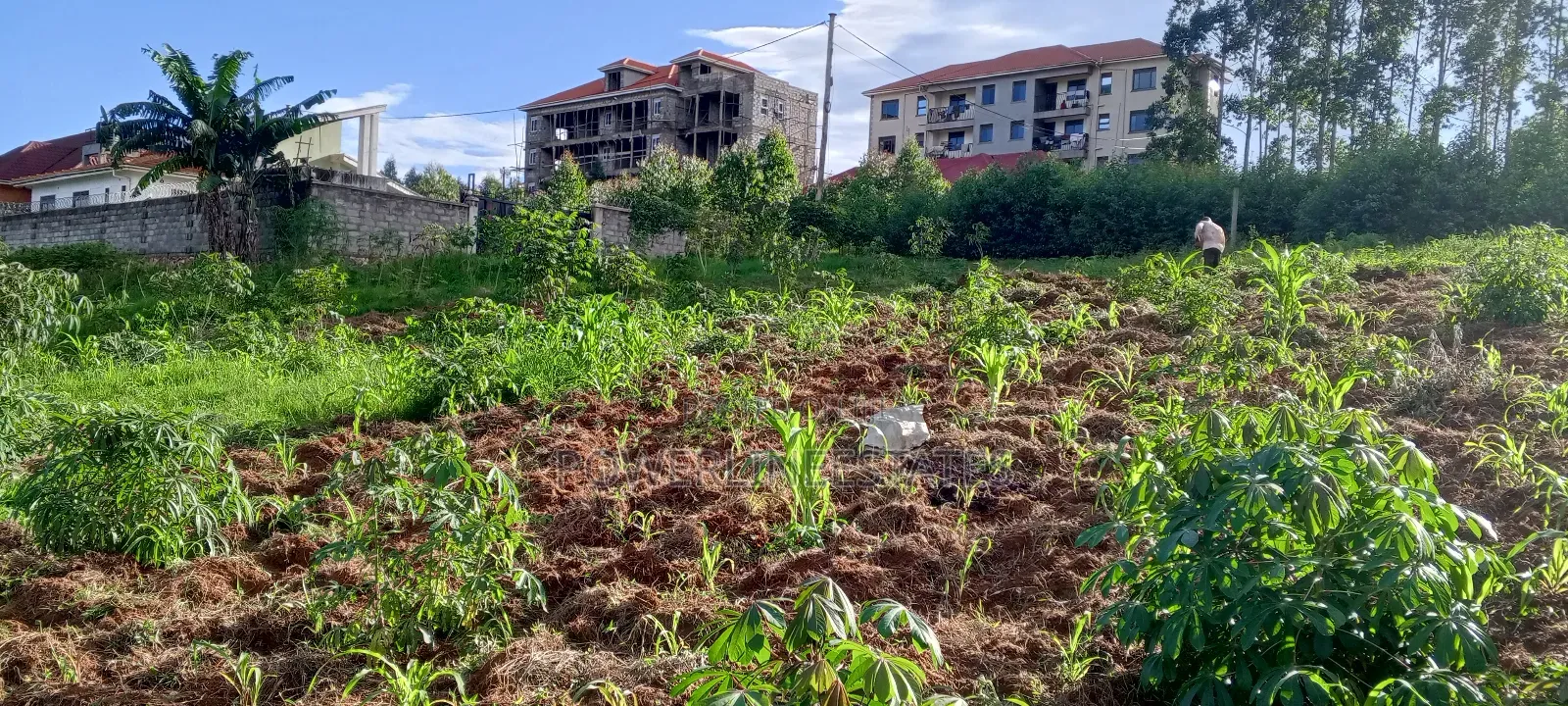 75x100ft Plot at Seeta-Town Estate.