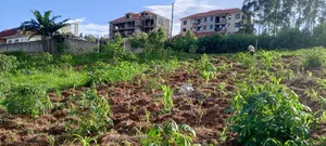 75x100ft Plot at Seeta-Town Estate.