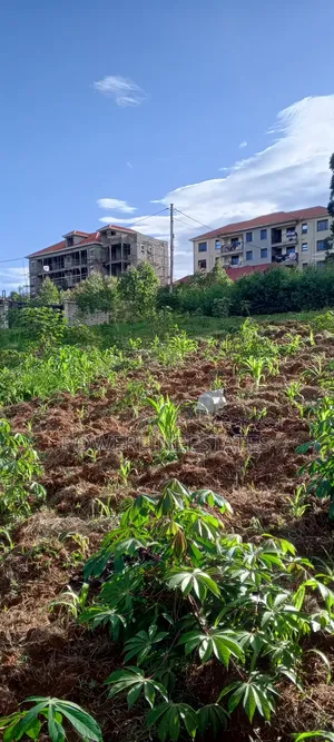 75x100ft Plot at Seeta-Town Estate.