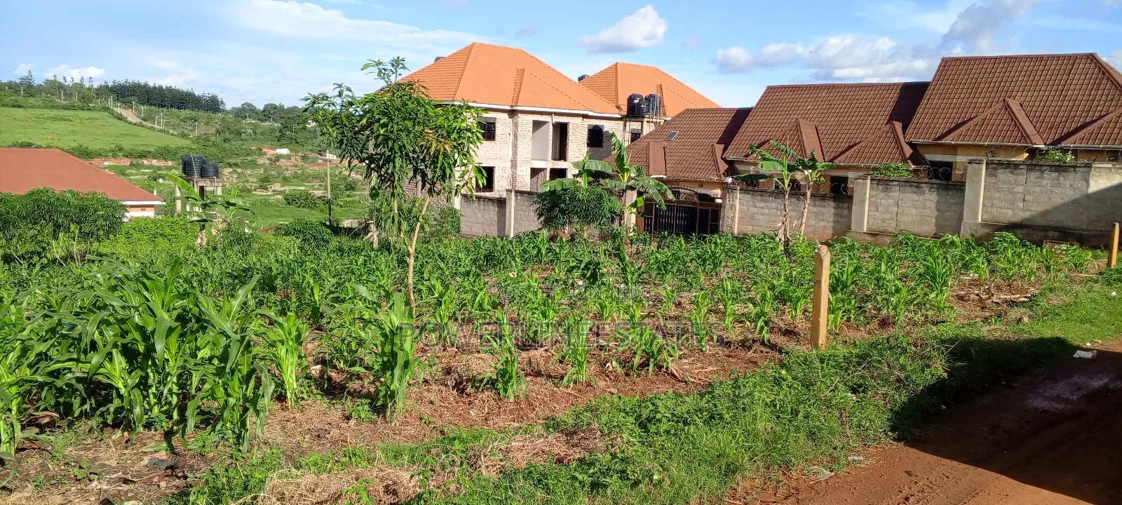 75x100ft Plot at Seeta-Town Estate.