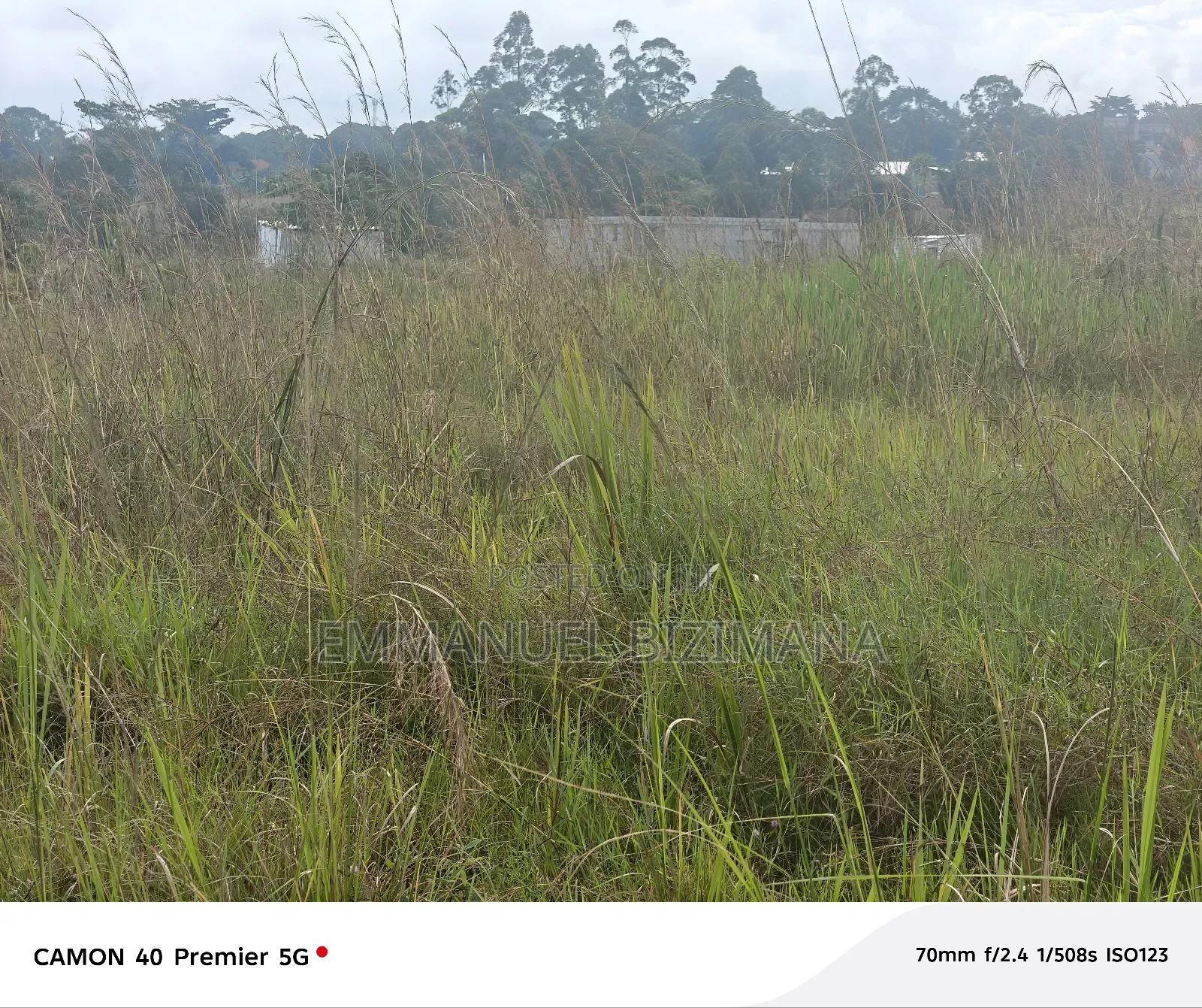 2 Plots Available for Sale in Kira