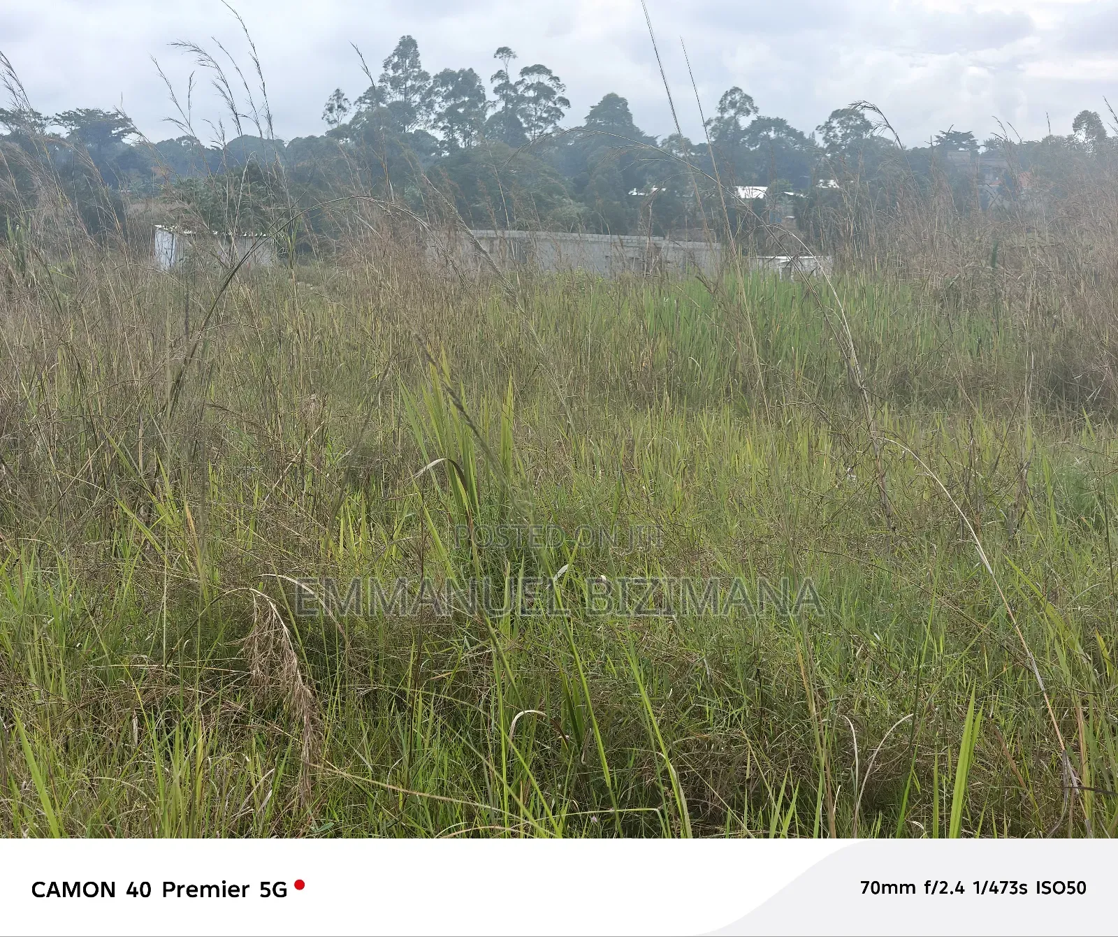 2 Plots Available for Sale in Kira