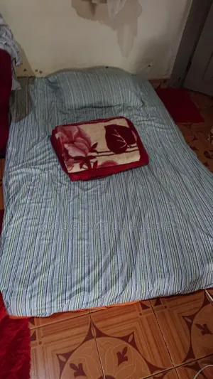Vita Foam Mattress Big