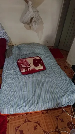 Vita Foam Mattress Big