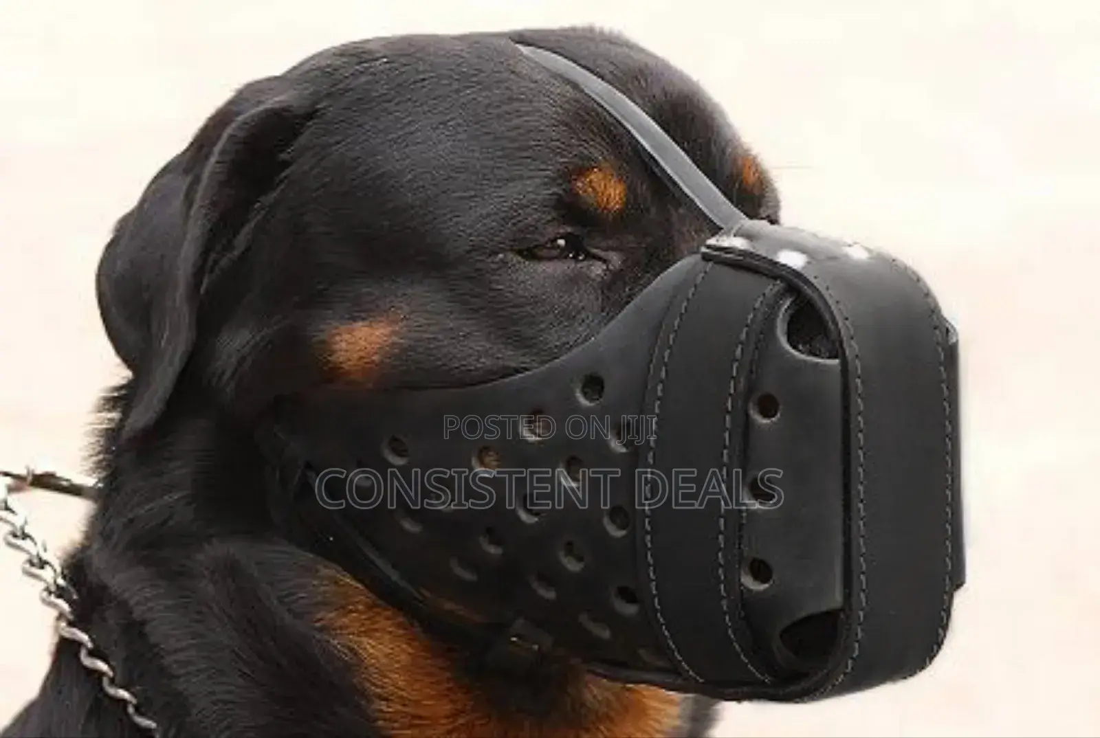 Leather Made Dog Muzzle for Mouth Guard.