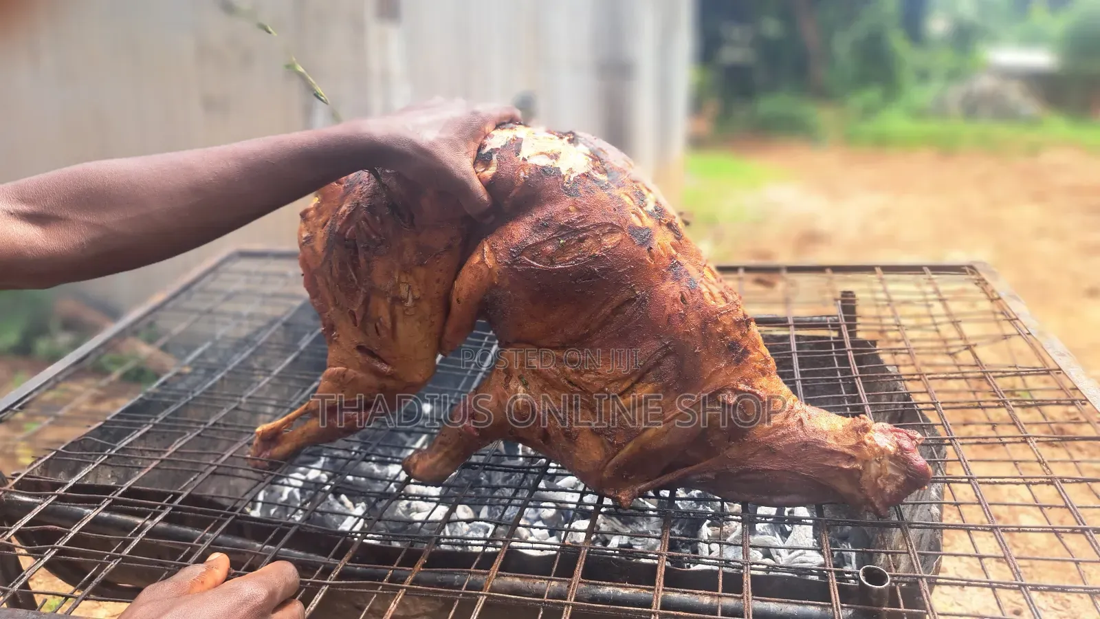 Full Goat Roasting "For Parties. Wedding. Or Any Activities"