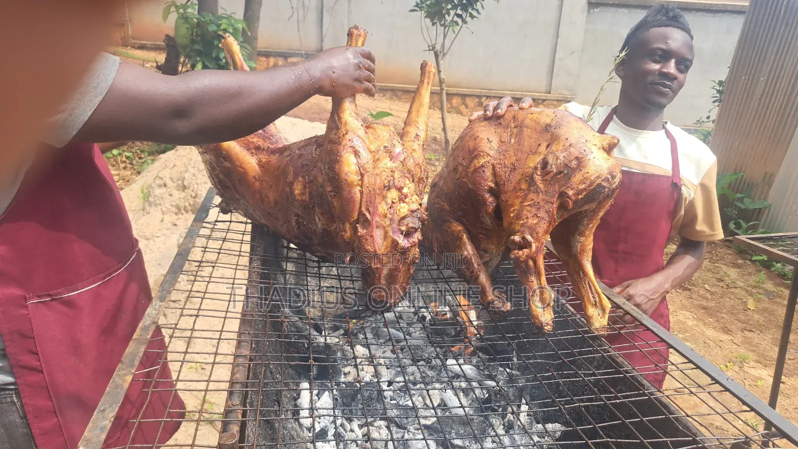 Full Goat Roasting "For Parties. Wedding. Or Any Activities"