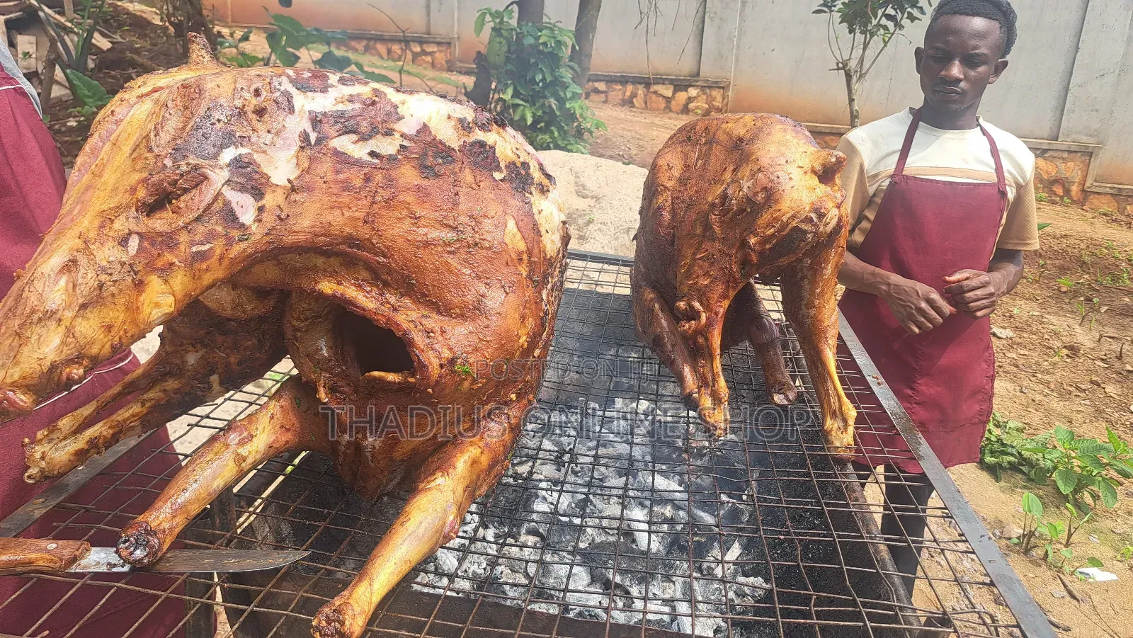Full Goat Roasting "For Parties. Wedding. Or Any Activities"