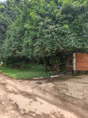 1acre of Land on Quick Sale in Kololo