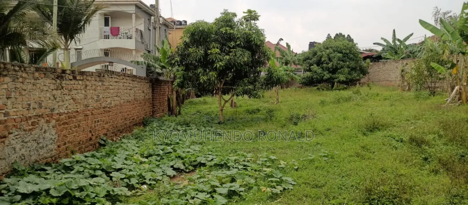 Plot for Sale