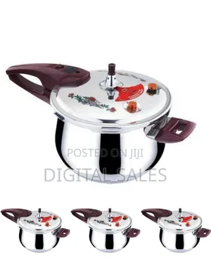 Classic Stainless Steel Pressure Cooker
