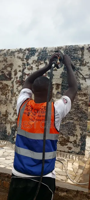 Expert Carpet Cleaning Services Saying Good Bye to Dirty Carpets