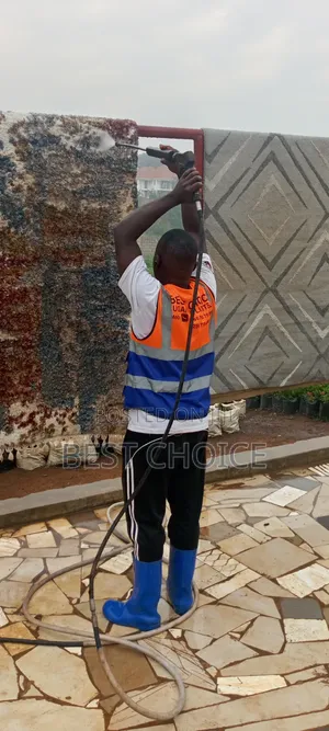 Expert Carpet Cleaning Services Saying Good Bye to Dirty Carpets