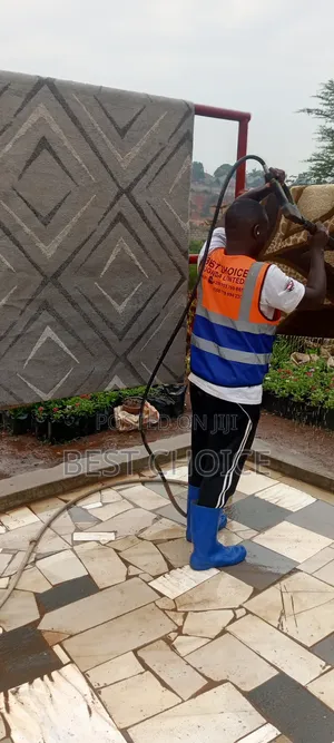 Expert Carpet Cleaning Services Saying Good Bye to Dirty Carpets