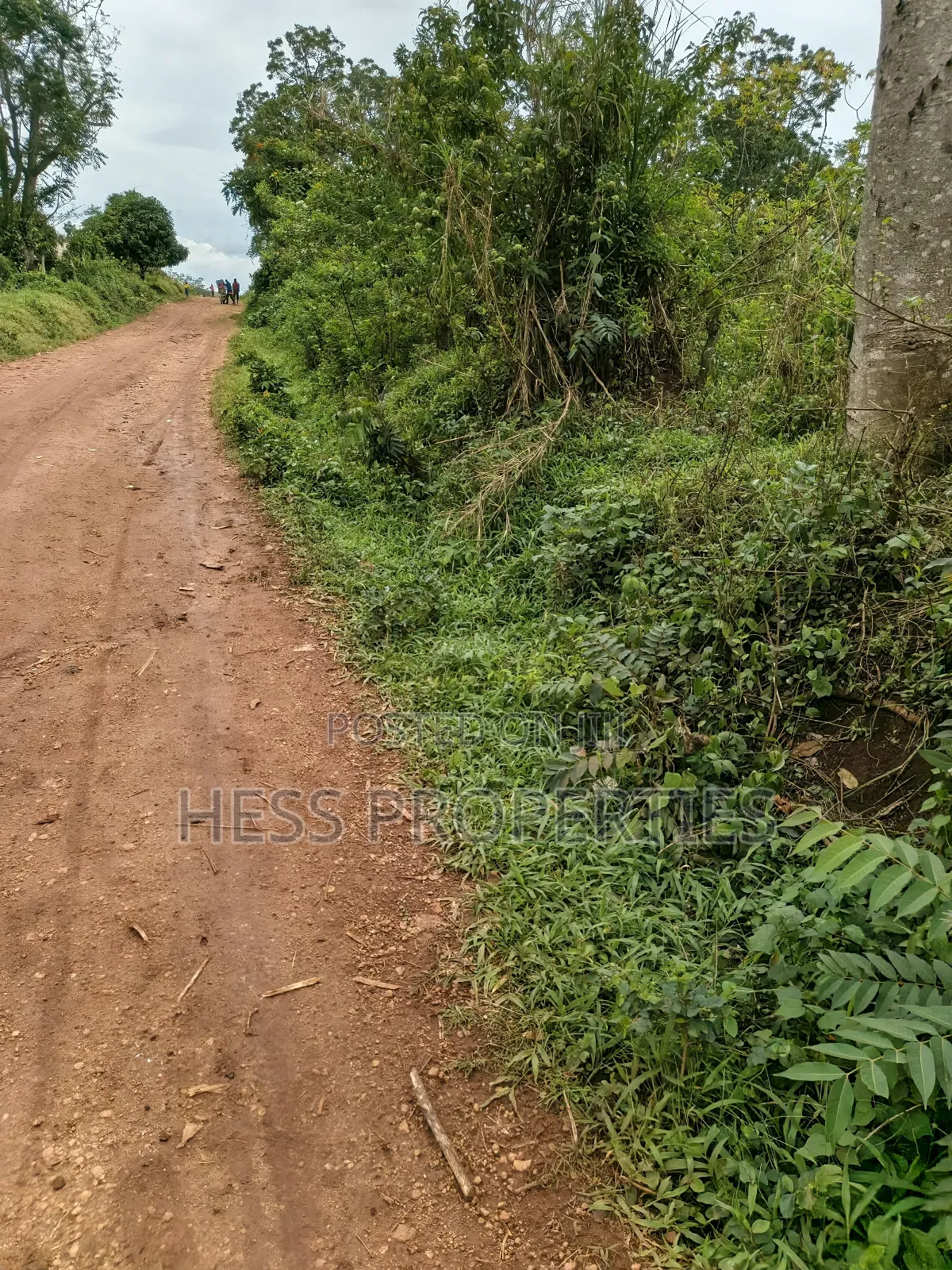 9acres of Agricultural Land on Sale Located in Kisojo