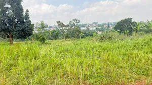 Plot On Sale In Kiwologoma Kira