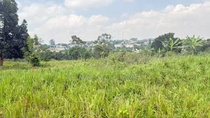 Plot On Sale In Kiwologoma Kira