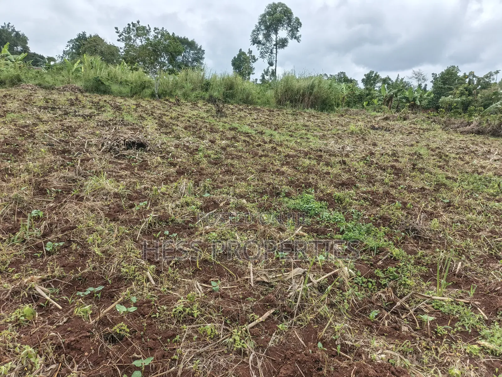 9acres of Agricultural Land on Sale Located in Kisojo
