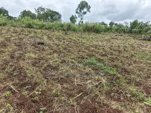 9acres of Agricultural Land on Sale Located in Kisojo