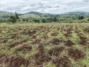 9acres of Agricultural Land on Sale Located in Kisojo