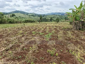 9acres of Agricultural Land on Sale Located in Kisojo