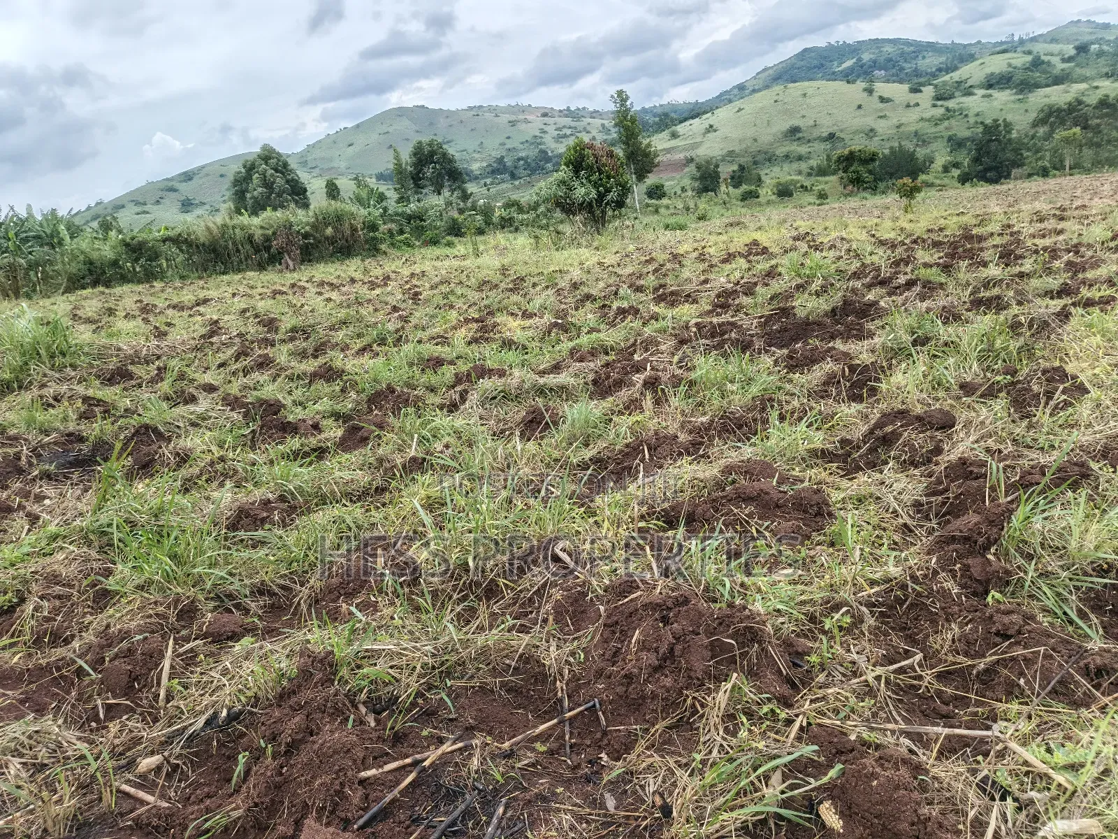 9acres of Agricultural Land on Sale Located in Kisojo