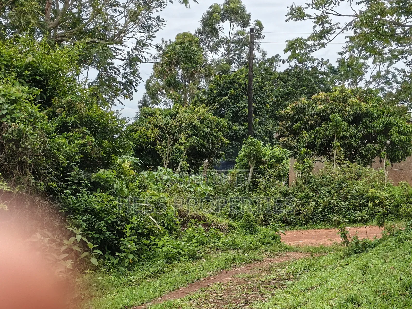 9acres of Agricultural Land on Sale Located in Kisojo
