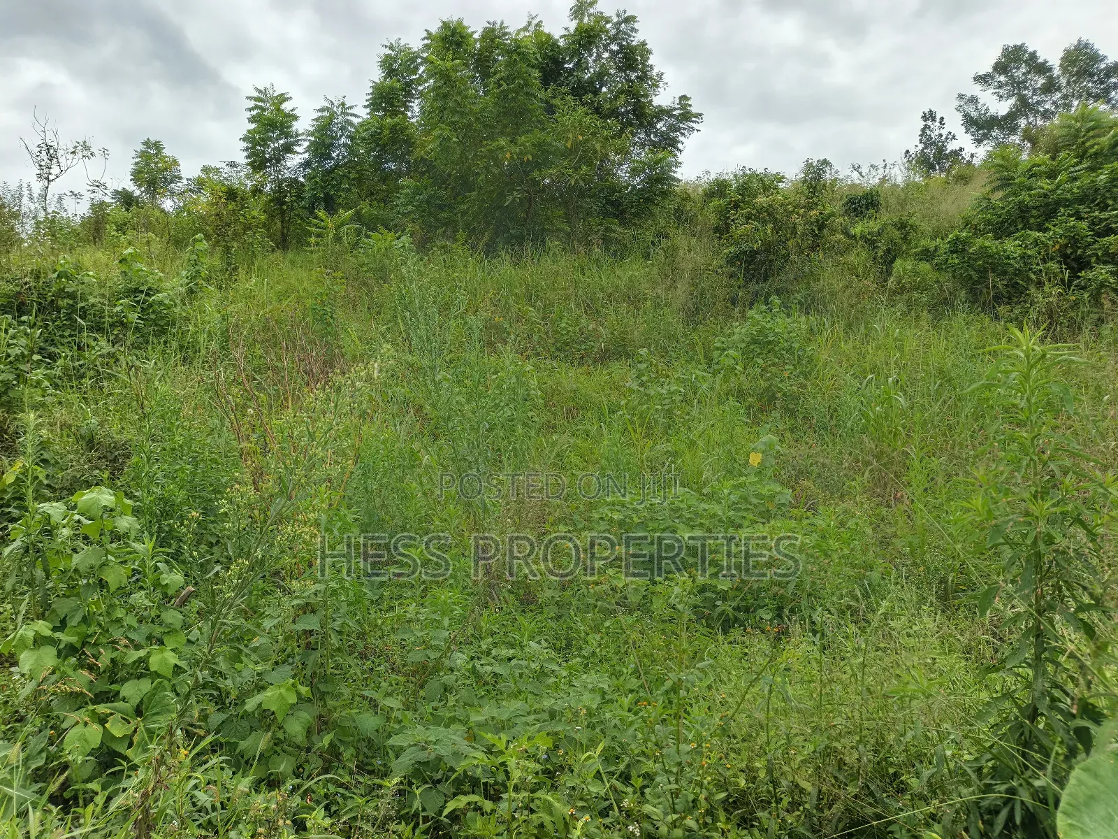 9acres of Agricultural Land on Sale Located in Kisojo