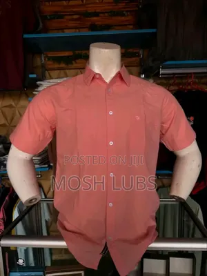 Button Down Collared Shirts