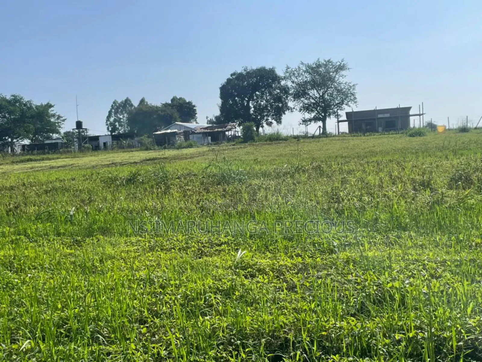 Farm for Sale