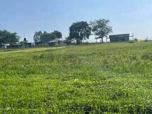 Farm for Sale