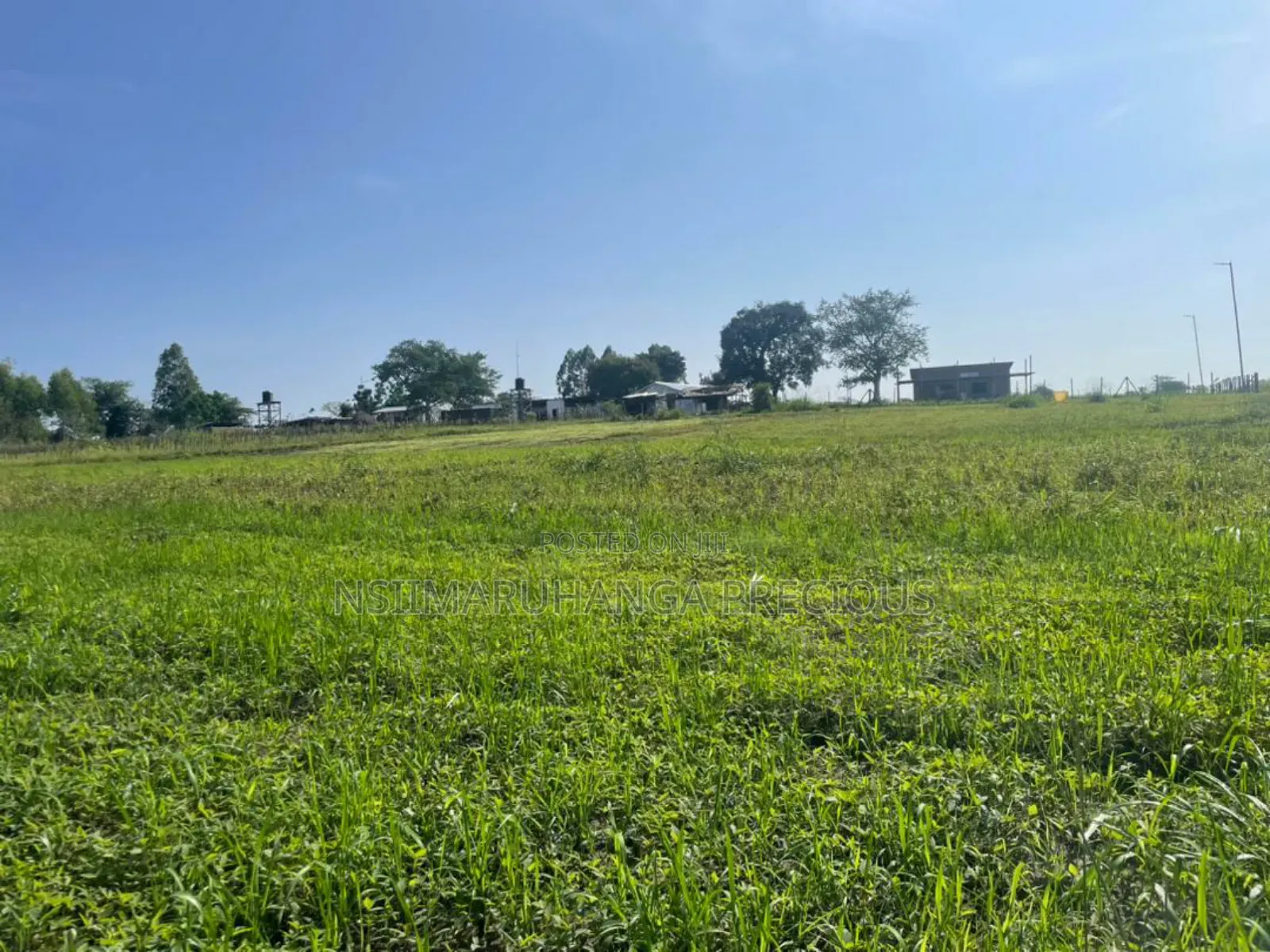 Farm for Sale