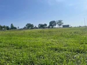 Farm for Sale