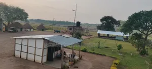Farm for Sale