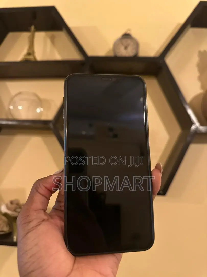 Apple iPhone 11 Pro Max 64 GB Gray