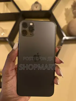 Apple iPhone 11 Pro Max 64 GB Gray