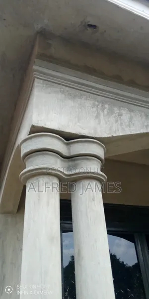 House Finishing Molding and Plastering