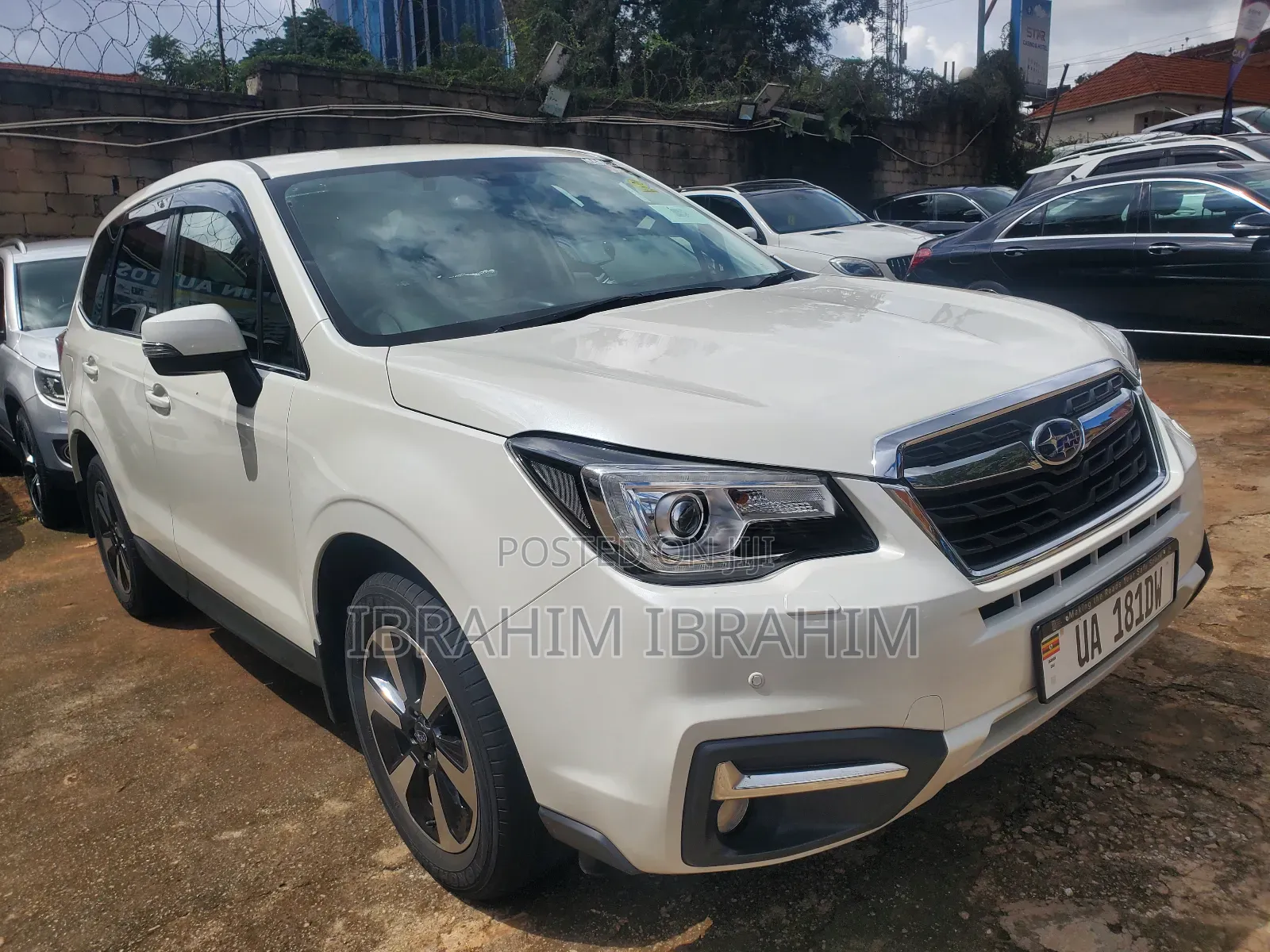 Subaru Forester 2016 White