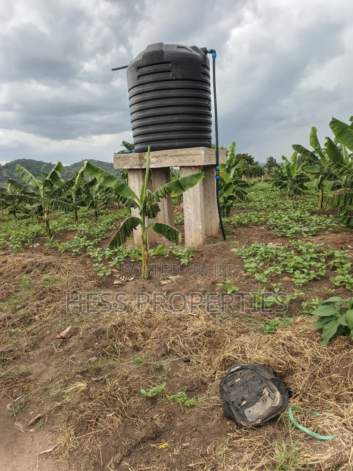 Coffee Farm on Sale Located in Bufunjo -Kyenjojo District