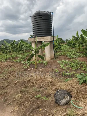 Coffee Farm on Sale Located in Bufunjo -Kyenjojo District