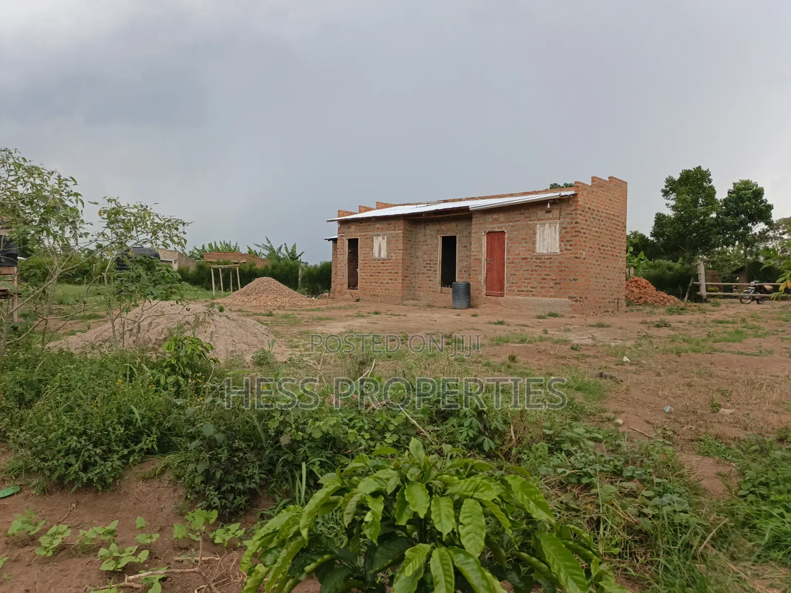 Coffee Farm on Sale Located in Bufunjo -Kyenjojo District