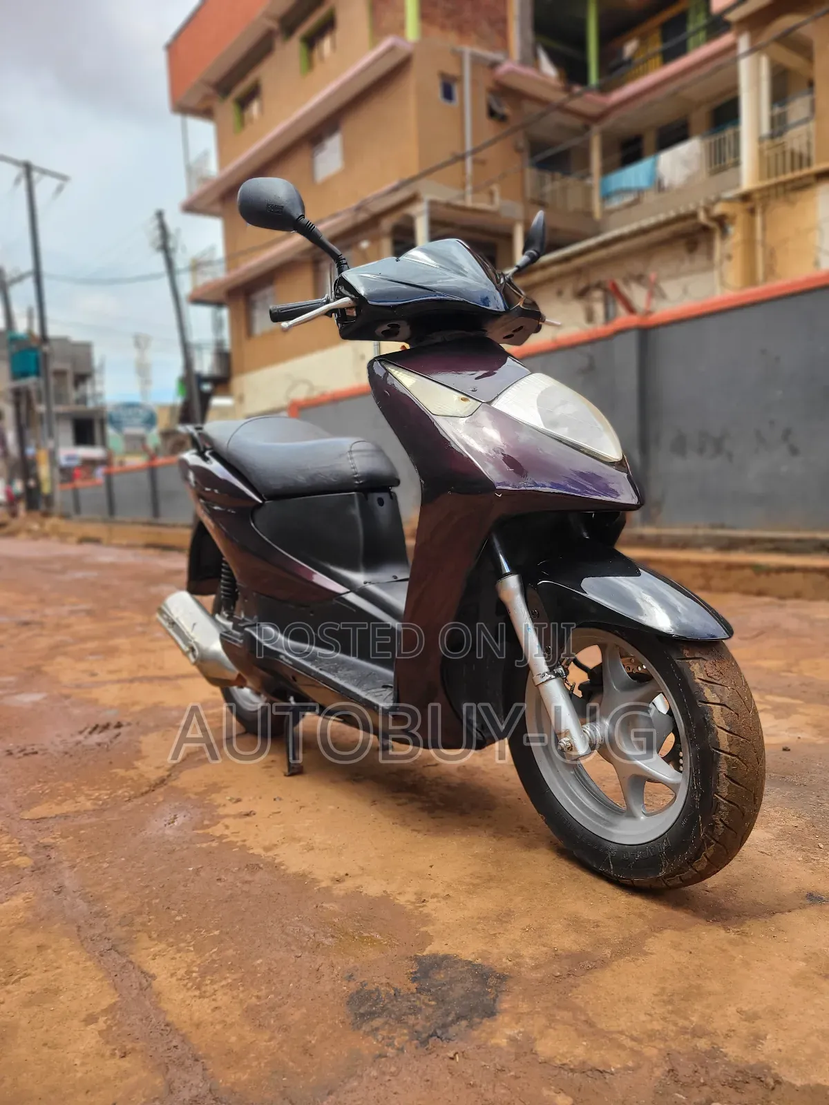 Honda 2013 Brown
