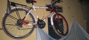 Challenger Bicycle